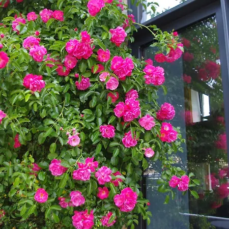 Superbe Maison En Baie Du Mont St Michel Дом отдыха