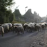 Superbe Maison En Baie Du Mont St Michel