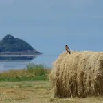 Σπίτι διακοπών Superbe Maison En Baie Du Mont St Michel *