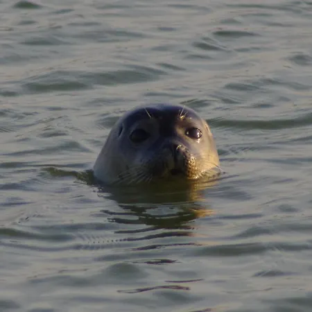 Сasa de vacaciones Superbe Maison En Baie Du Mont St Michel *