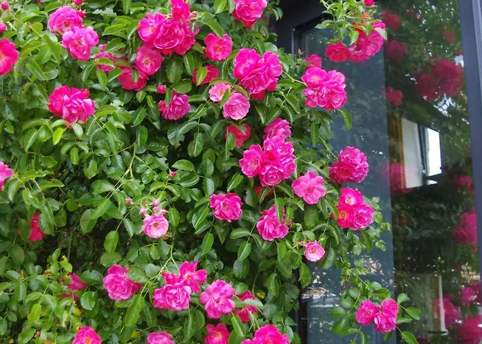 Superbe Maison En Baie Du Mont St Michel Casa de Férias