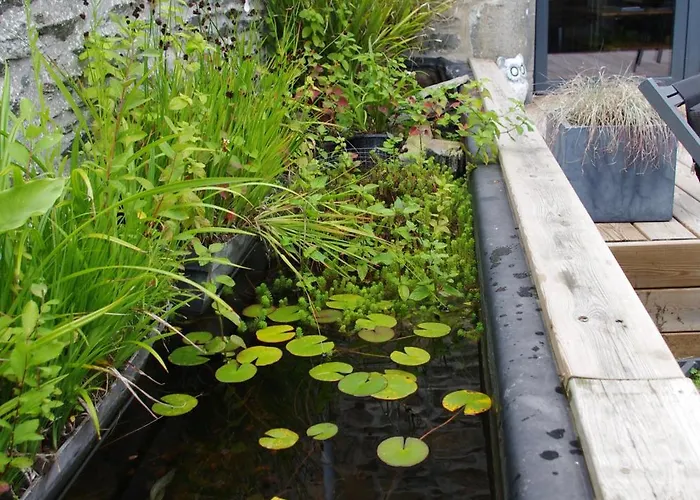 Nyaraló Superbe Maison En Baie Du Mont St Michel Vains