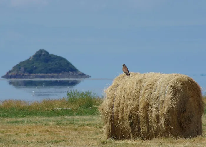 Casa de Férias Superbe Maison En Baie Du Mont St Michel *